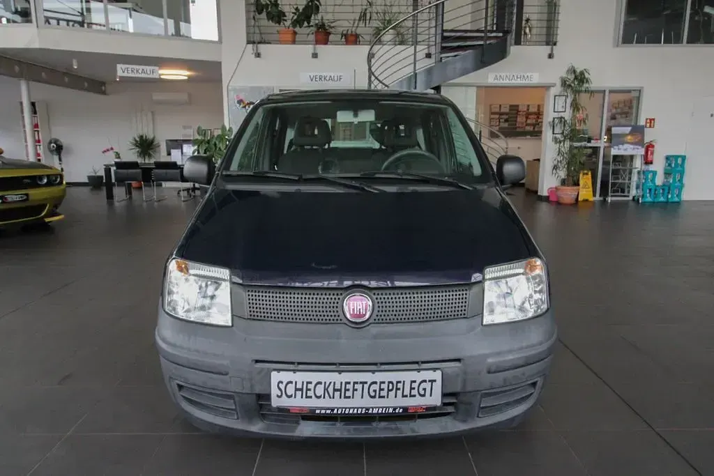 Gebraucht Fiat Panda Active 54 PS (39 kW) 2010 Blau Kleinwagen