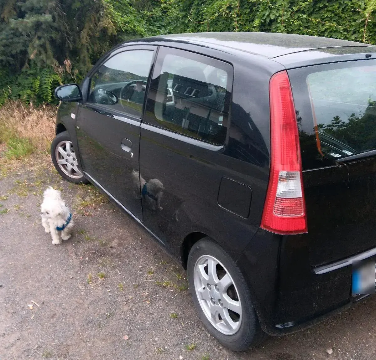 Gebraucht Daihatsu Cuore 58 PS (42 kW) 2006 Schwarz Kleinwagen