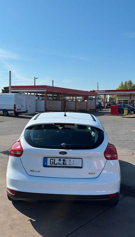 Usata Ford Focus Trend 125 CV (91 kW) 2017 Bianco Berlina