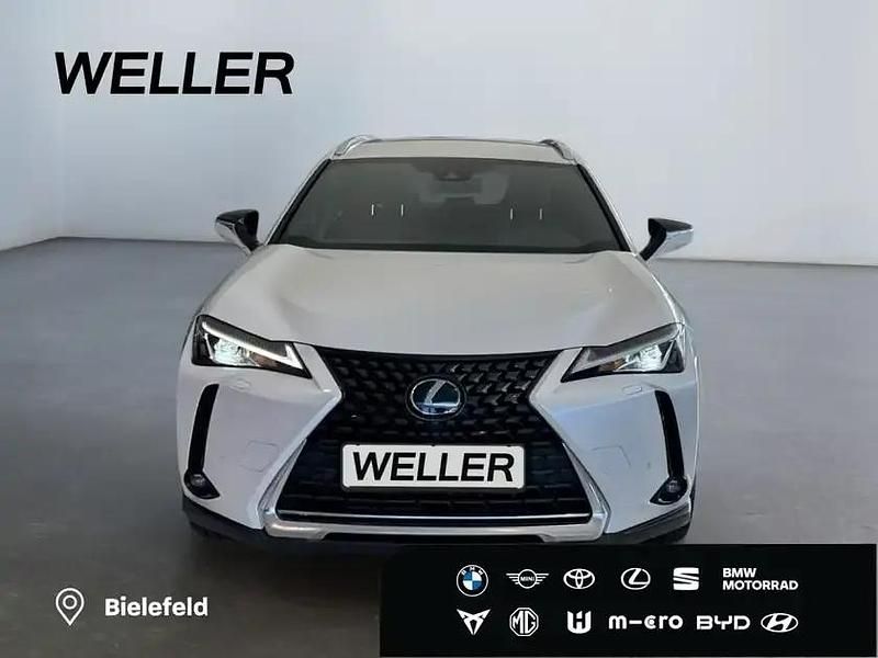 Gebraucht Lexus UX 250h 184 PS (135 kW) 2022 Weiss SUV