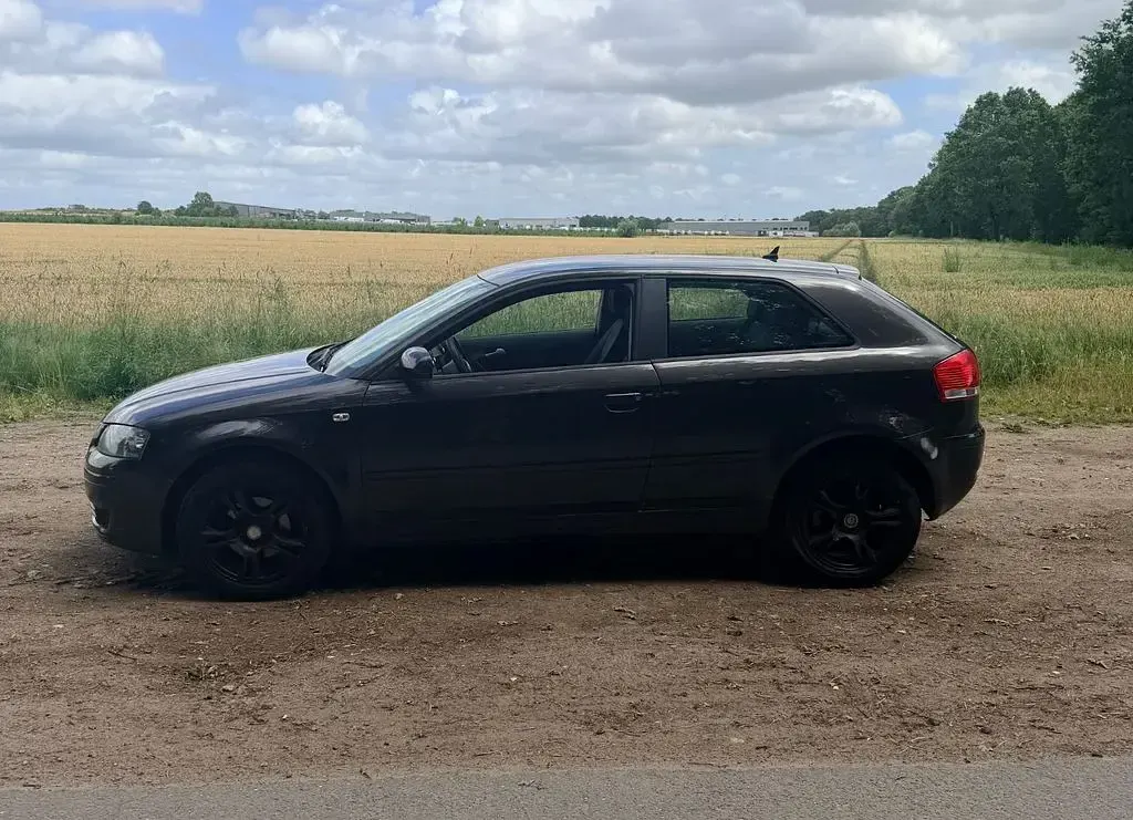 Gebraucht Audi A3 Ambition 102 PS (75 kW) 2008 Grau Kleinwagen