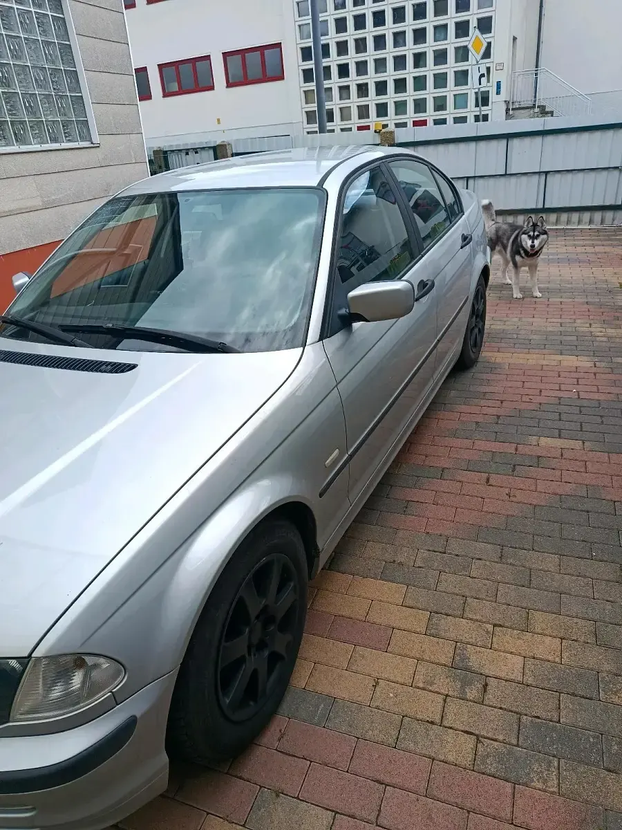 Gebraucht BMW 320 150 PS (110 kW) 2000 Limousine