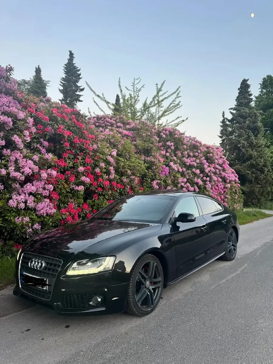 Gebraucht Audi A5 Sportback S-Line 211 PS (155 kW) 2011 Schwarz Kleinwagen