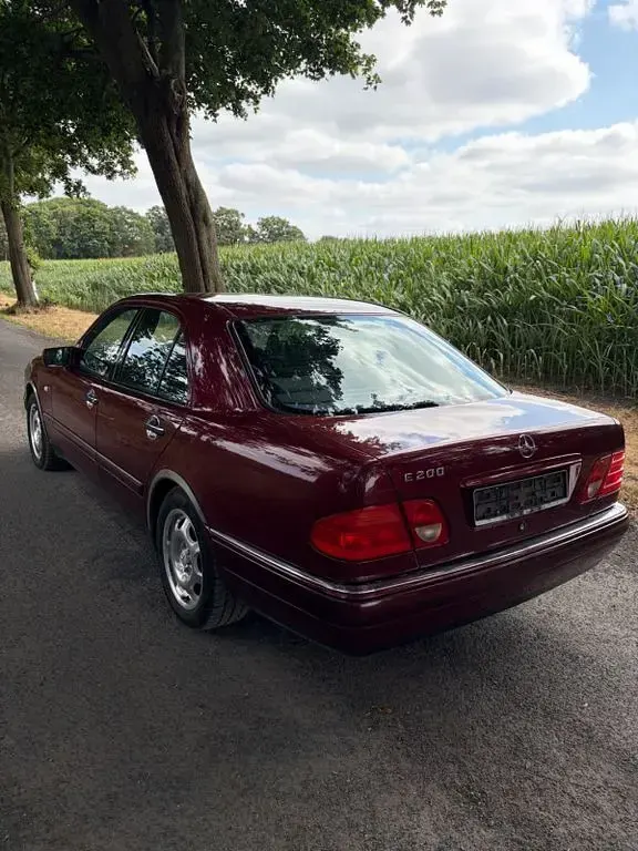 Gebraucht Mercedes E200 Elegance 136 PS (100 kW) 1998 Rot Limousine