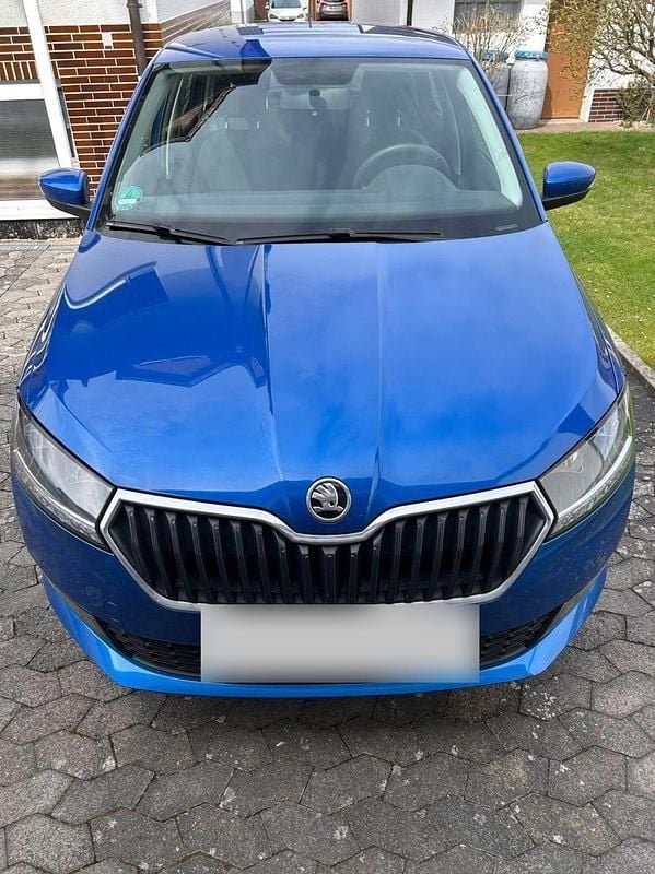 Gebraucht Skoda Fabia Active 95 PS (69 kW) 2020 Blau Kleinwagen