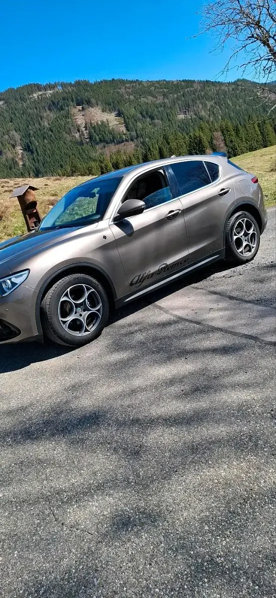 Gebraucht Alfa Romeo Stelvio 180 PS (132 kW) 2018 Braun SUV