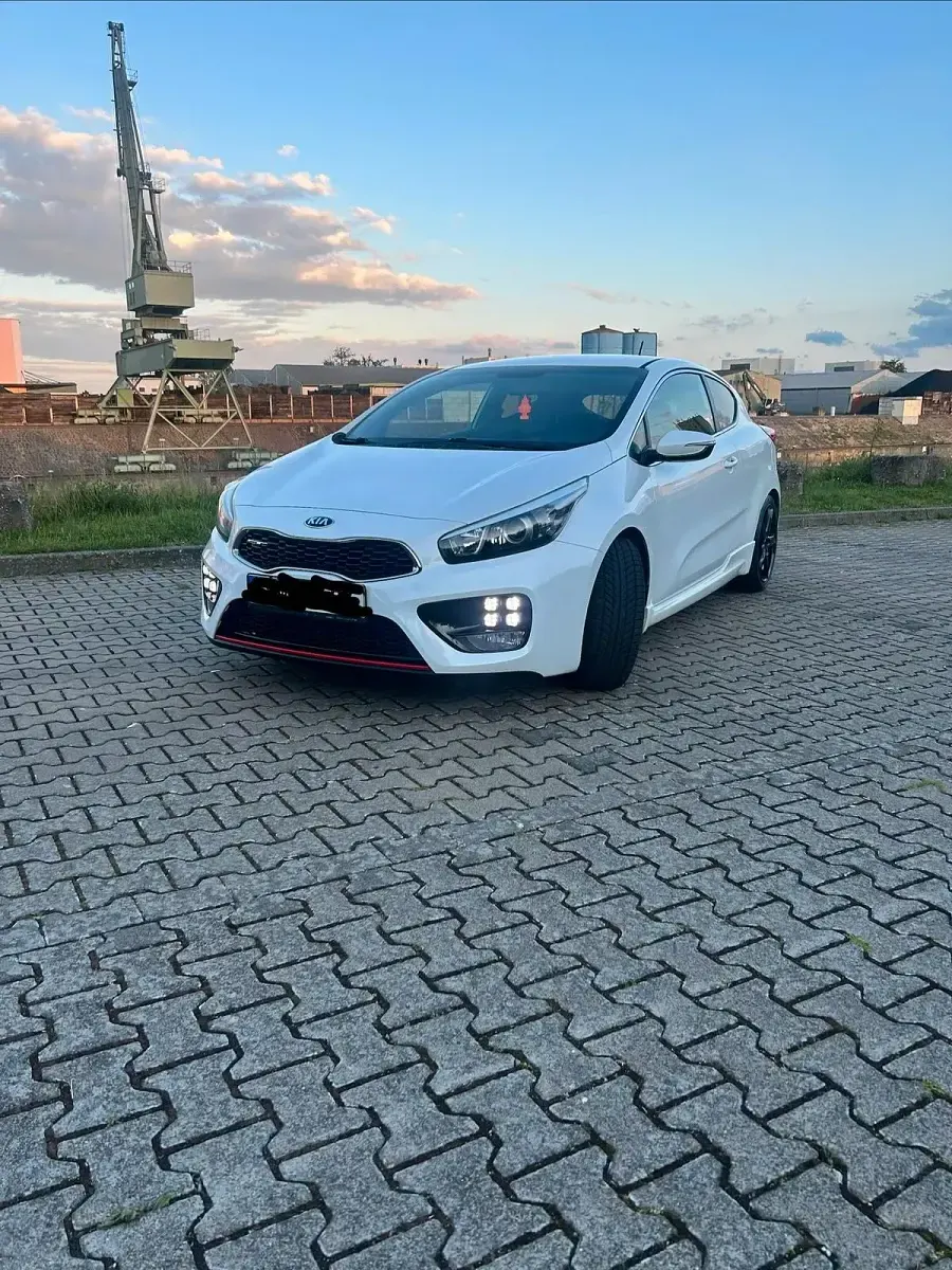 Gebraucht Kia Ceed GT-Track 204 PS (150 kW) 2014 Weiß Kleinwagen