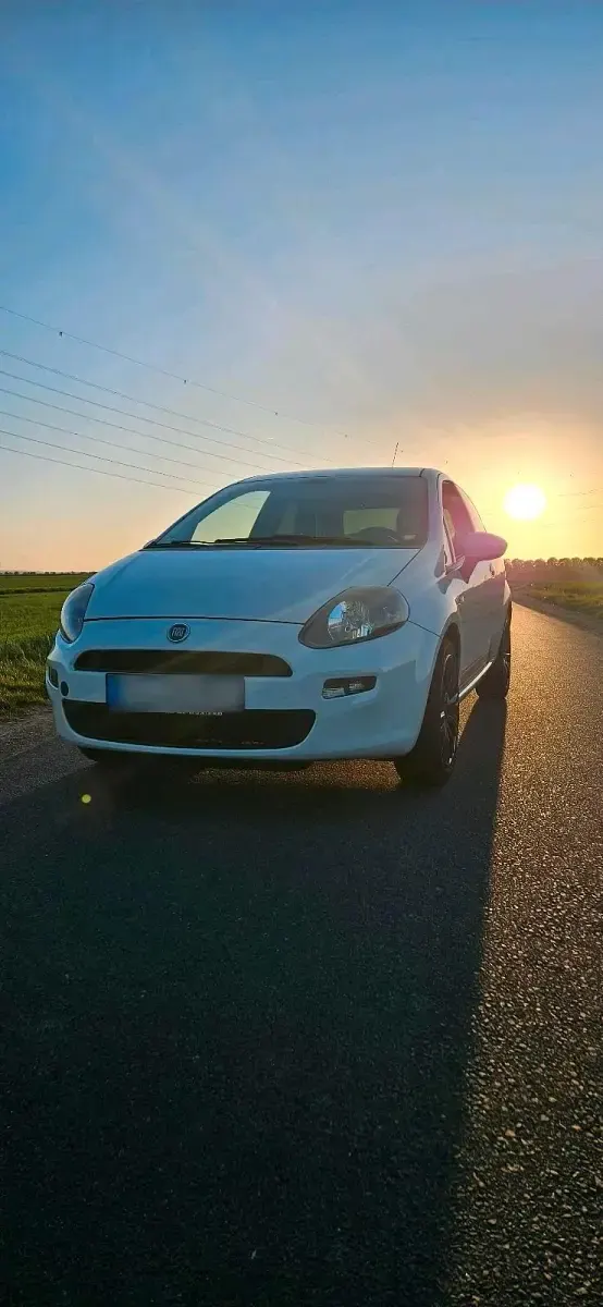 Gebraucht Fiat Punto 69 PS (50 kW) 2013 Weiß Kleinwagen