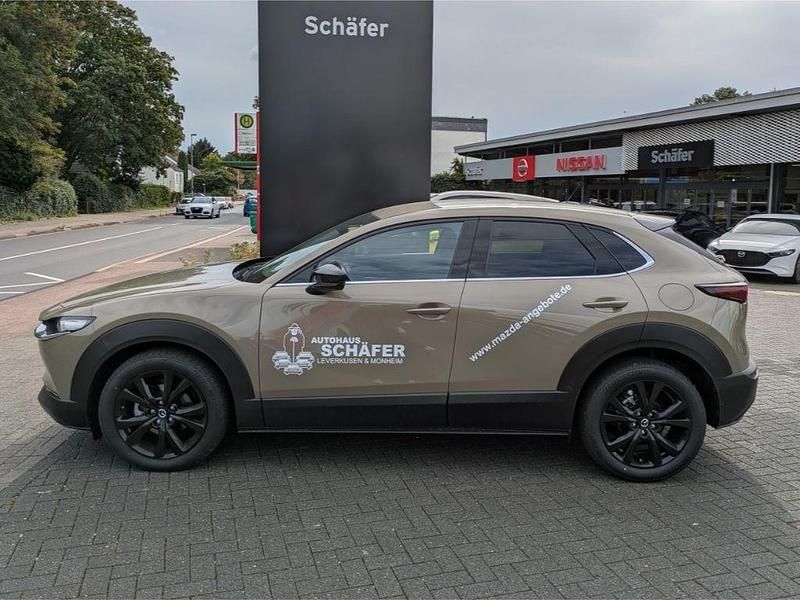 Neu Mazda CX-30 Homura-Line 140 PS (102 kW) 2026 Beige SUV