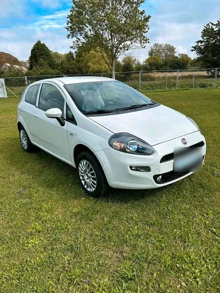 Gebraucht Fiat Punto 78 PS (57 kW) 2015 Weiß Kleinwagen
