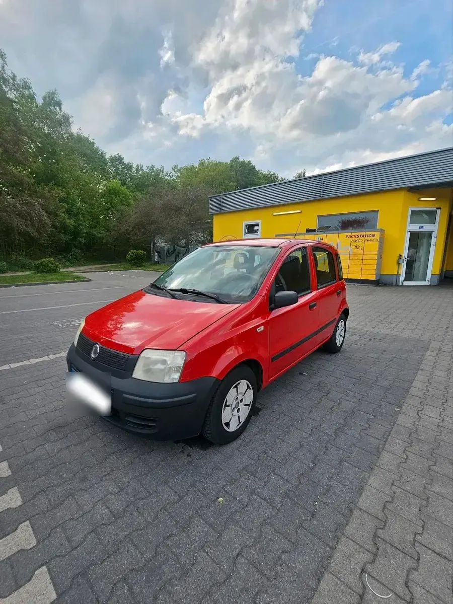 Usata Fiat Panda 54 CV (39 kW) 2009 Rosso Utilitaria