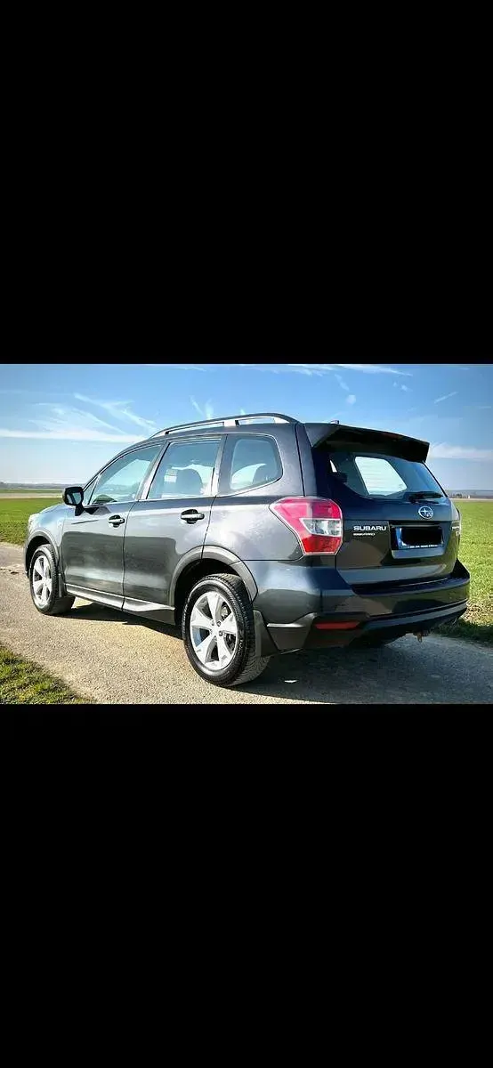Gebraucht Subaru Forester Active 147 PS (108 kW) 2015 Grau SUV