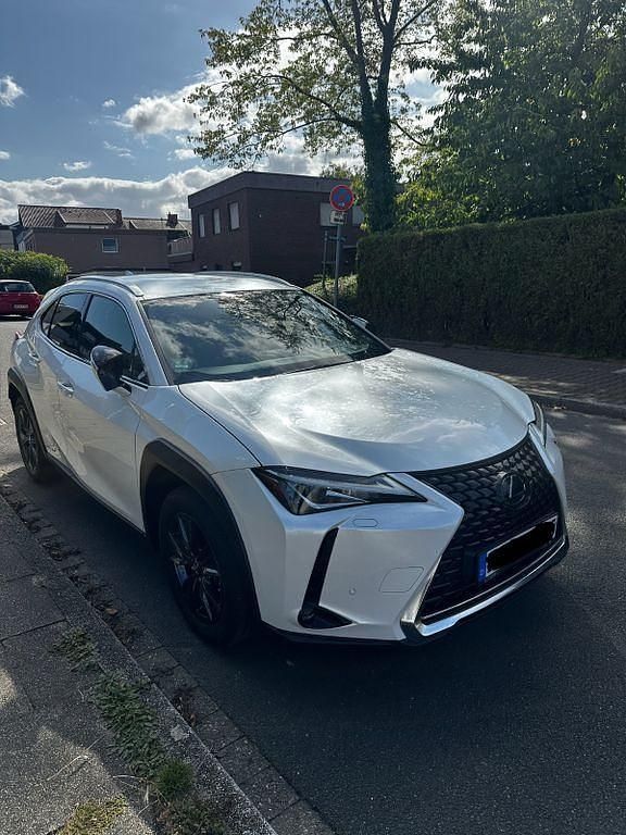 Gebraucht Lexus UX 250h 184 PS (135 kW) 2020 Weiß SUV