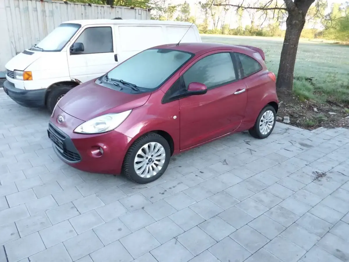 Gebraucht Ford Ka Titanium 69 PS (50 kW) 2015 Funky magenta metallic Kleinwagen