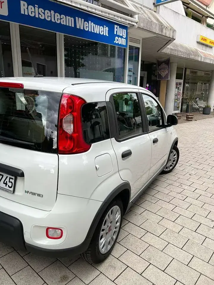 Gebraucht Fiat Panda 71 PS (52 kW) 2023 Weiß Kleinwagen