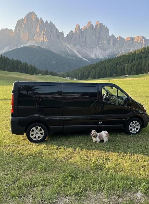 Schwarz Gebraucht 2005 Opel Vivaro Van / Kleinbus | 8.000 € - Bild 1/4