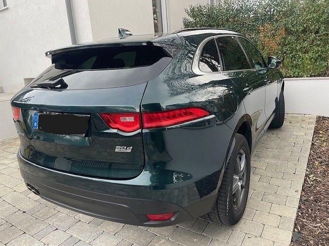 Gebraucht Jaguar F-Pace Prestige 179 PS (131 kW) 2017 Grün SUV