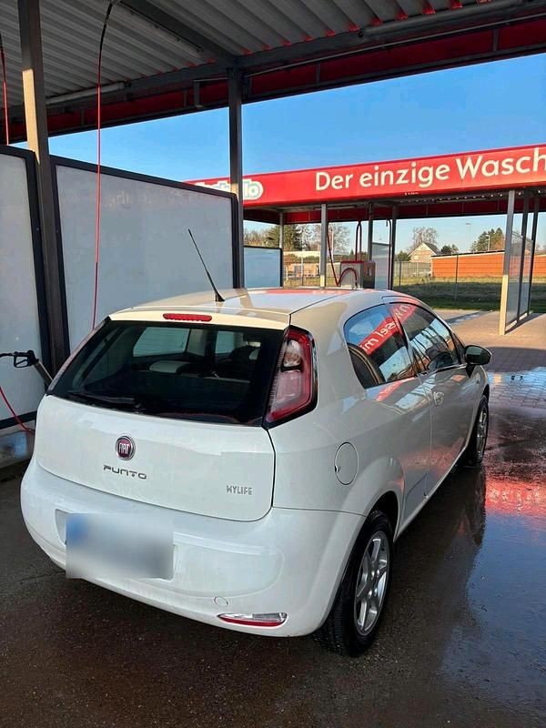 Gebraucht Fiat Punto 70 PS (51 kW) 2013 Weiß Kleinwagen