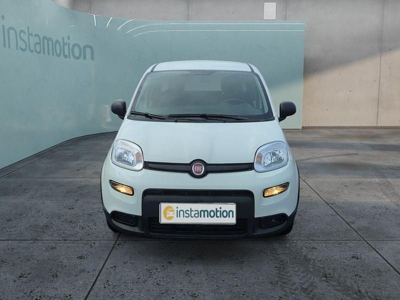 Weiß Neu 2024 Fiat Panda Kleinwagen | 12.499 € - Bild 1/1