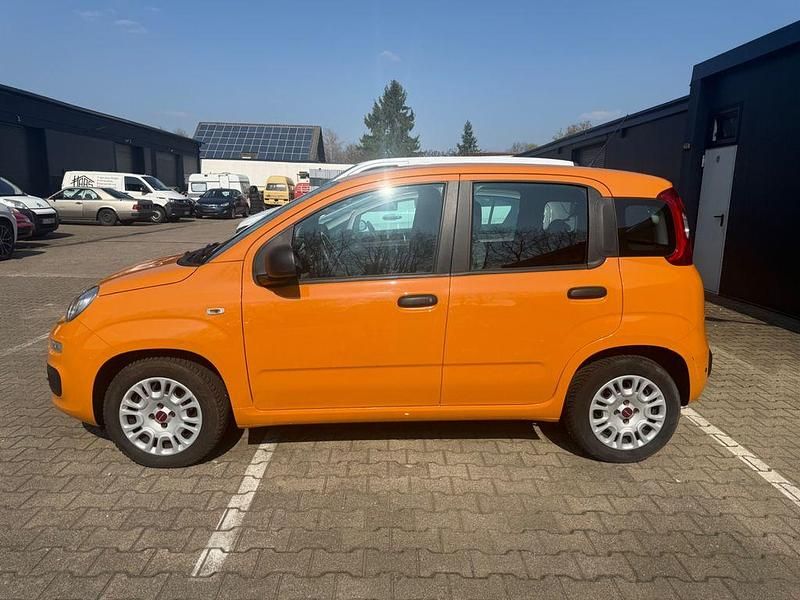 Gebraucht Fiat Panda Easy 69 PS (50 kW) 2017 Orange Kleinwagen