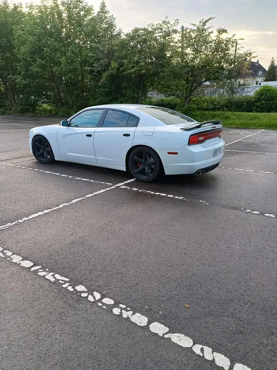 Gebraucht Dodge Charger 296 PS (217 kW) 2013 Weiß Limousine