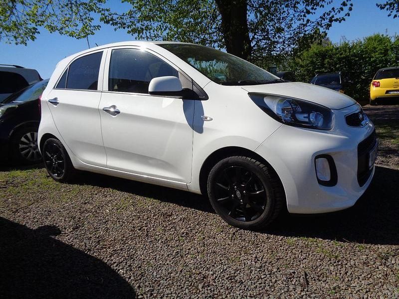 Gebraucht Kia Picanto Spirit 86 PS (63 kW) 2017 Weiß Kleinwagen