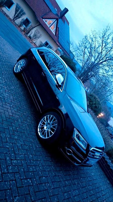 Gebraucht Audi SQ5 2013 Schwarz SUV