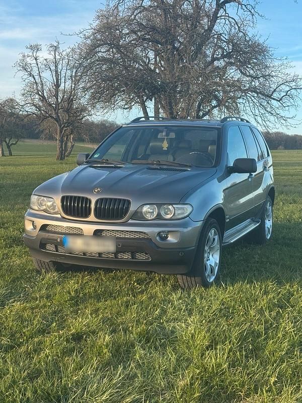 Brugt BMW X5 218 HK (160 kW) 2003 Sølv SUV