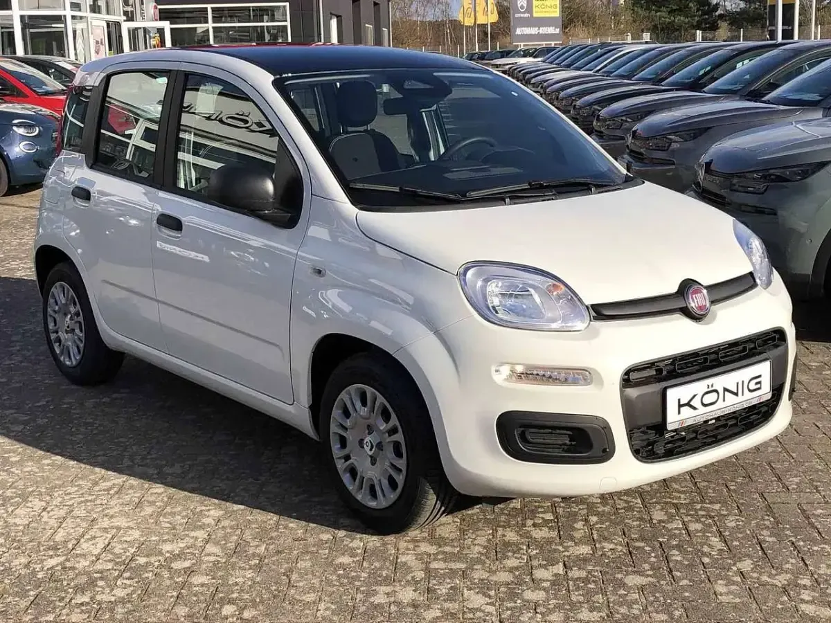 Gebraucht Fiat Panda 69 PS (50 kW) 2025 Gelato weiß dach schwarz (weis Kleinwagen
