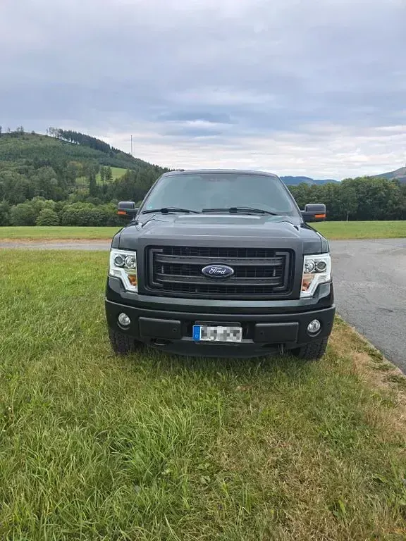 Gebraucht Ford V8 XLT 364 PS (267 kW) 2014 Grün Pickup