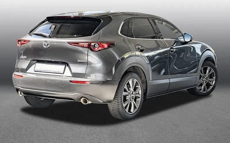 Gebraucht Mazda CX-30 Selection 180 PS (132 kW) 2021 Grau SUV