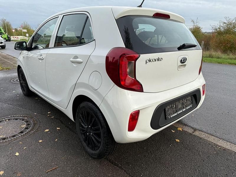 Gebraucht Kia Picanto Edition 7 67 PS (49 kW) 2019 Weiß Kleinwagen