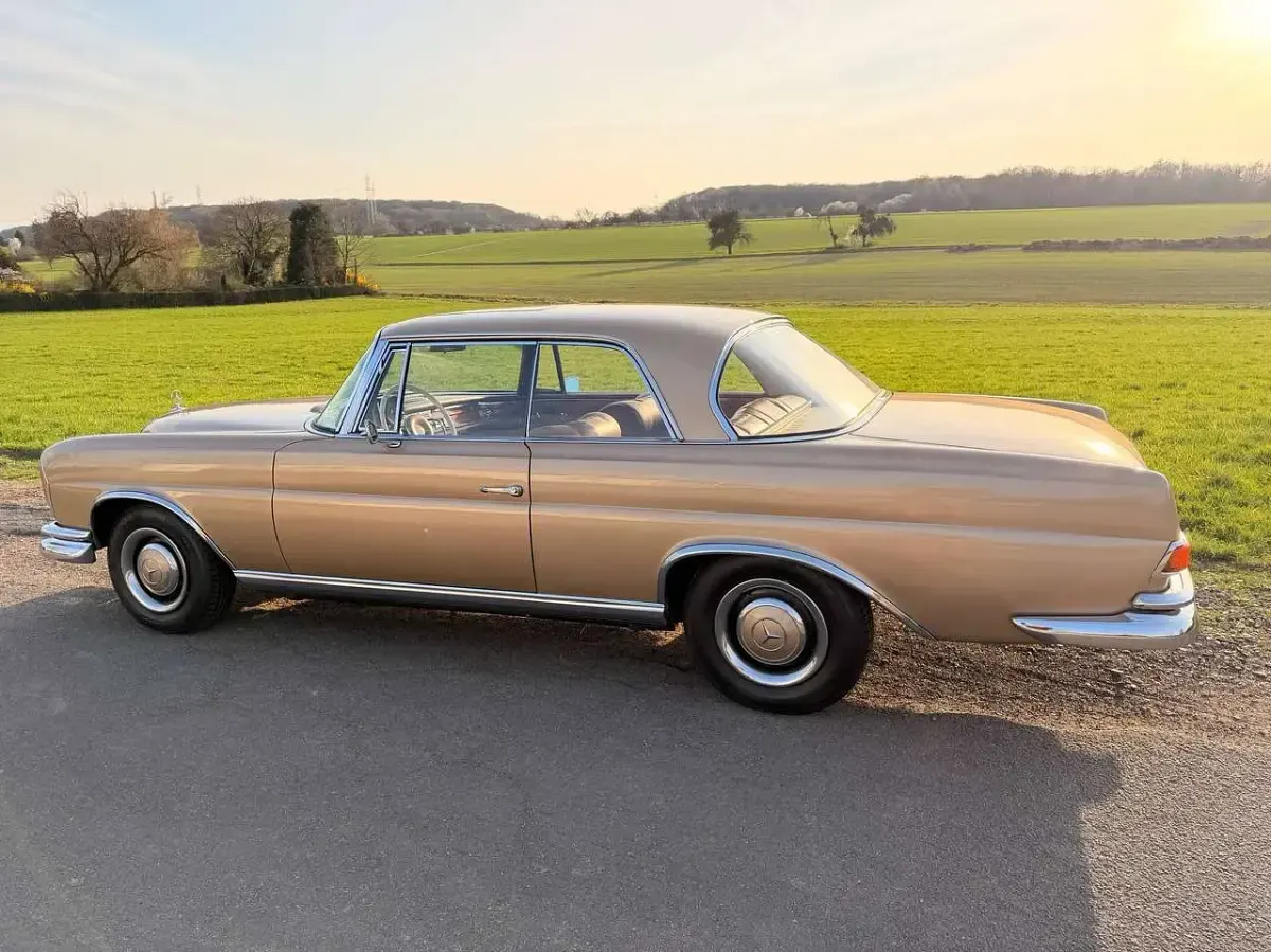 Gebraucht Mercedes 250 150 PS (110 kW) 1966 Gold Coupé