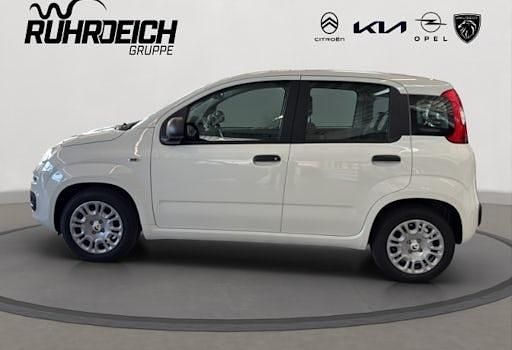 Gebraucht Fiat Panda Icon 65 PS (47 kW) 2026 Weiss Kleinwagen