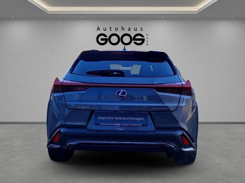 Gebraucht Lexus UX 250h E-FOUR 184 PS (135 kW) 2021 Grau SUV