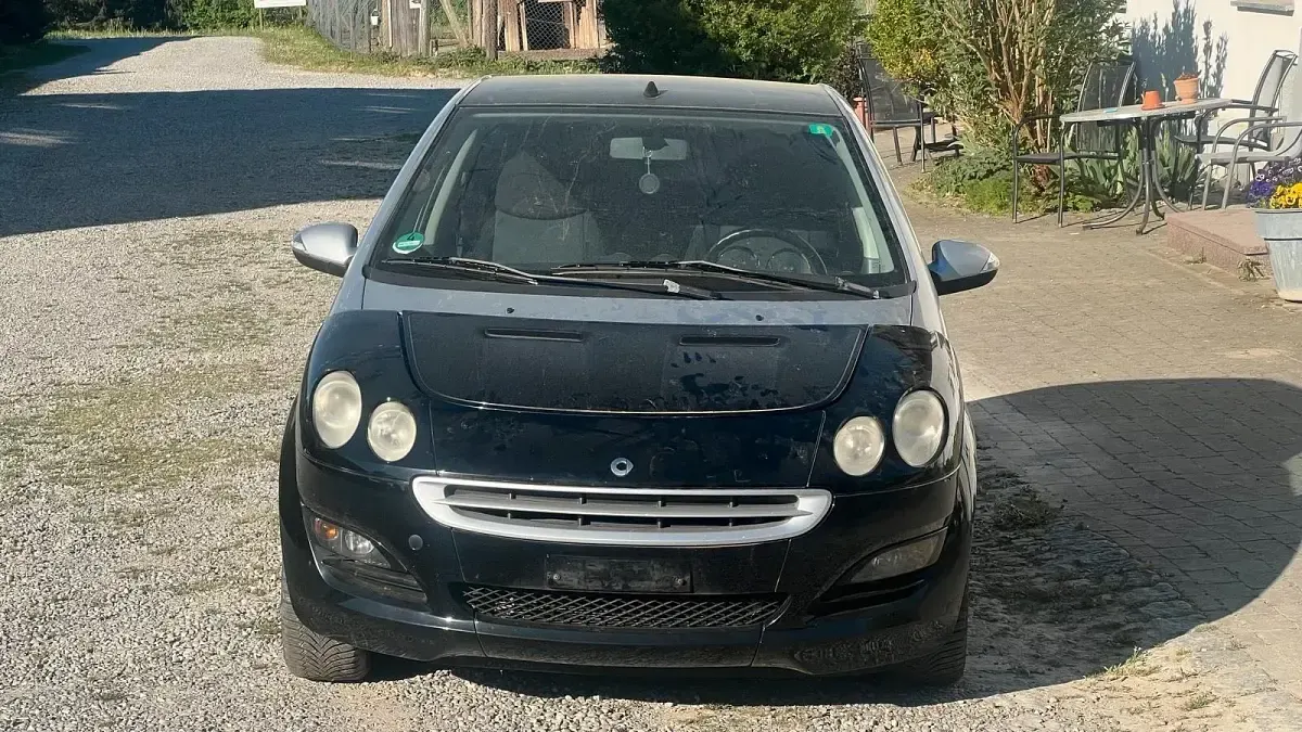 Usata Smart ForFour 95 CV (69 kW) 2005 Utilitaria