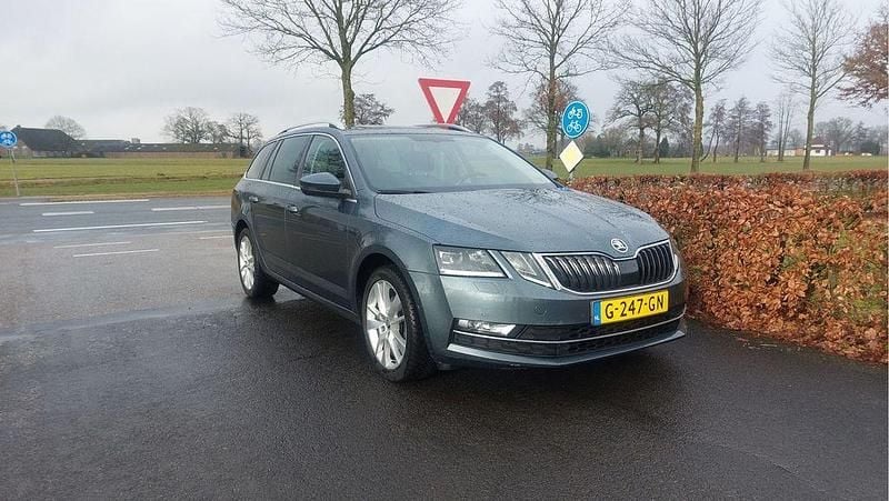 Gebraucht Skoda Octavia Business Line 116 PS (85 kW) 2019 Grau Kombi