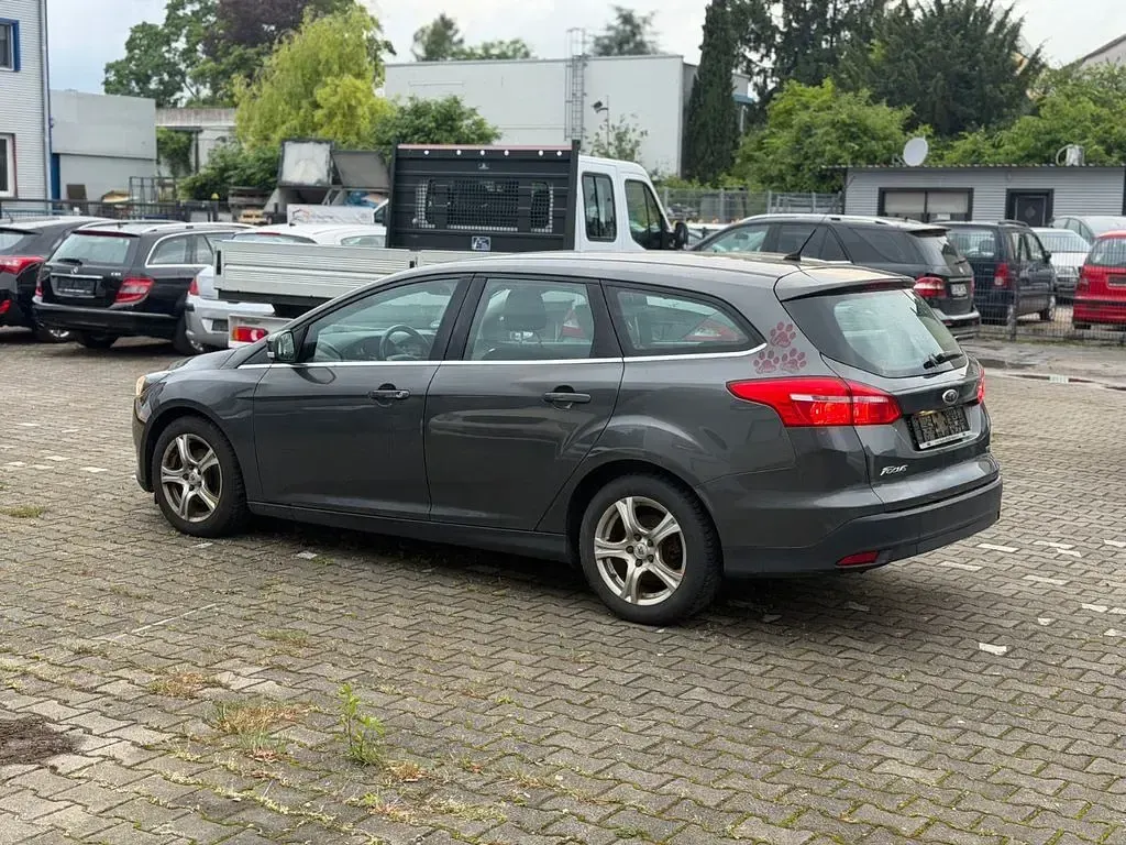 Usata Ford Focus Titanium 125 CV (91 kW) 2017 Grigio Berlina