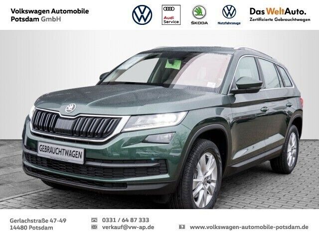 Grün Gebraucht 2019 Skoda Kodiaq Style SUV | 43.490 € - Bild 1/4