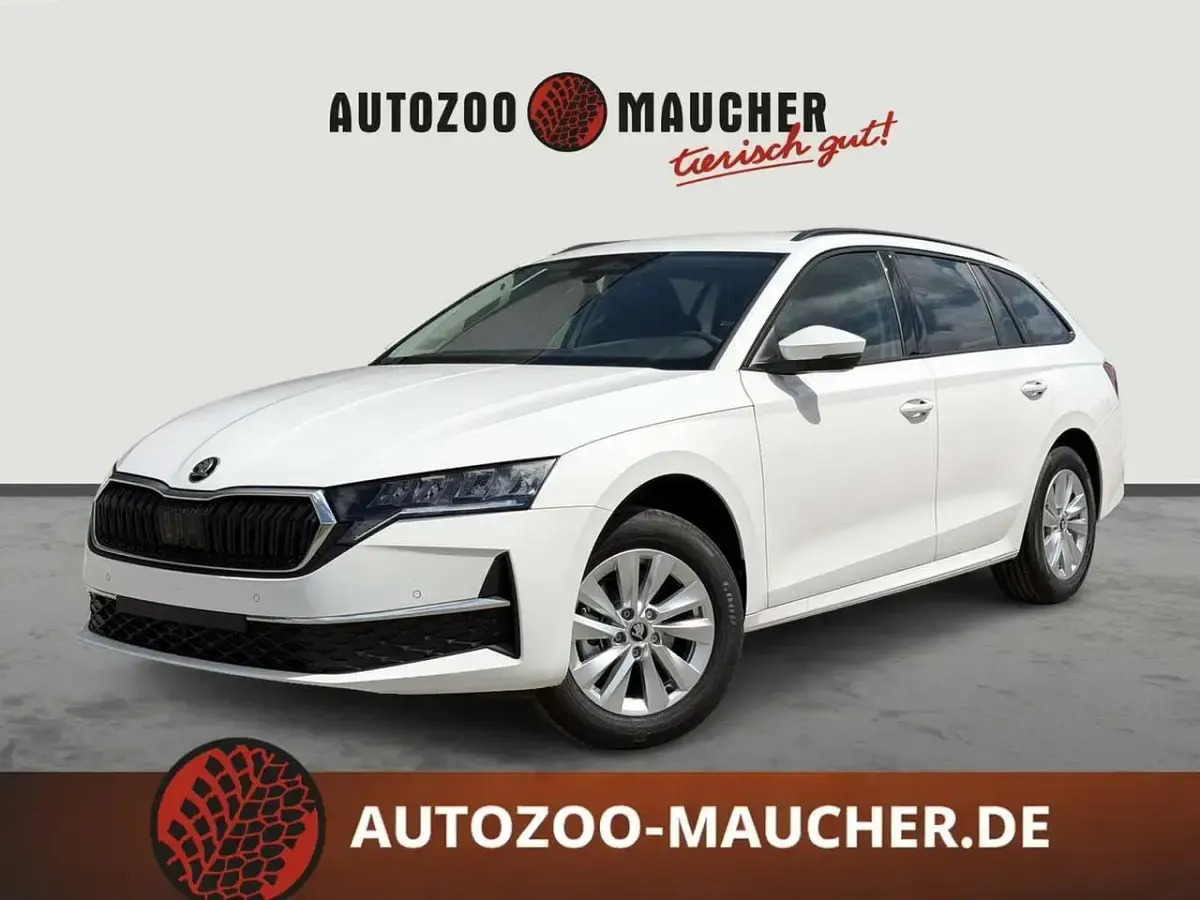 Gebraucht Skoda Octavia Selection 116 PS (85 kW) 2026 Kombi