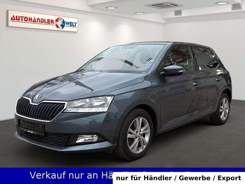 Grau Gebraucht 2018 Skoda Fabia Limousine | 10.999 € (Superpreis) - Bild 1/3