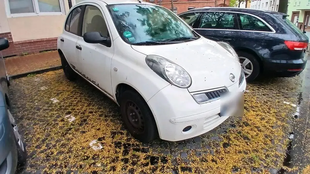 Gebraucht Nissan Micra 78 PS (57 kW) 2009 Weiß Kleinwagen