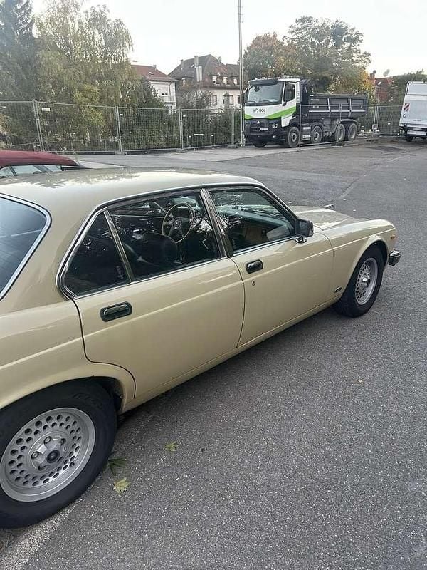 Gebraucht Jaguar XJ6 205 PS (150 kW) 1983 Beige Limousine