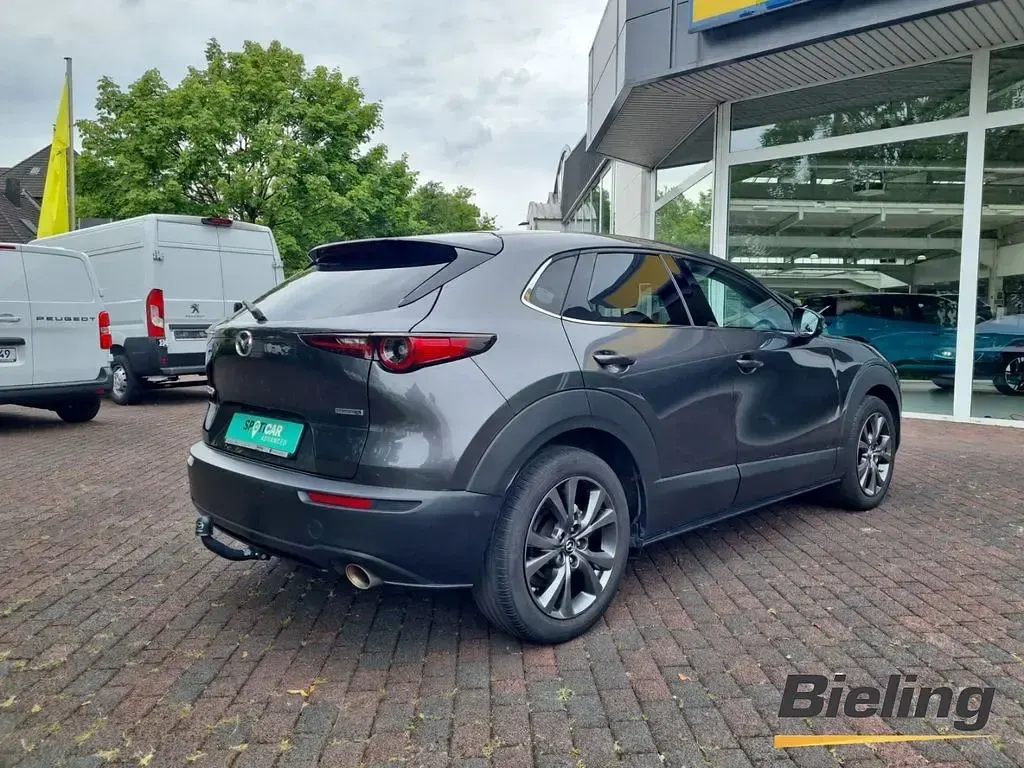 Gebraucht Mazda CX-30 Selection 179 PS (131 kW) 2020 Grau SUV