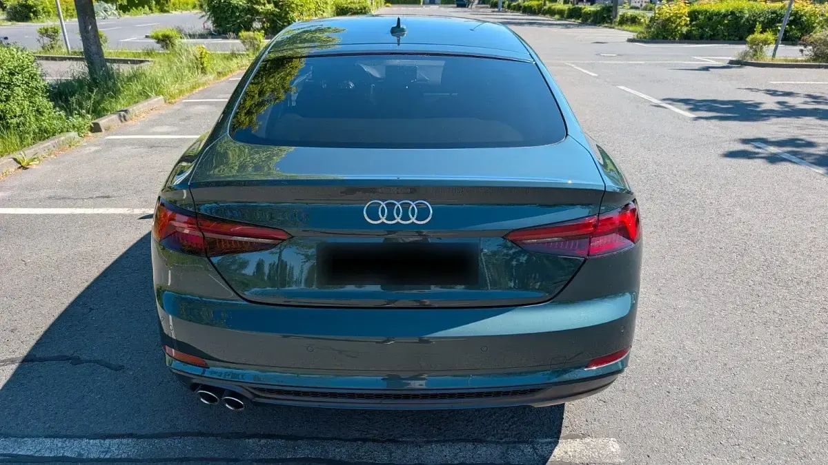 Gebraucht Audi A5 Sportback S-Line 190 PS (139 kW) 2019 Grün Kleinwagen