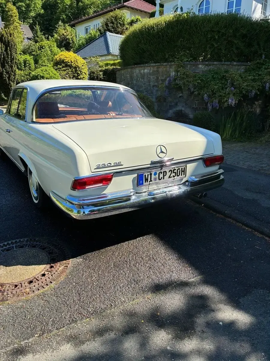 Gebraucht Mercedes 250 SE 150 PS (110 kW) 1965 Weiß Coupé