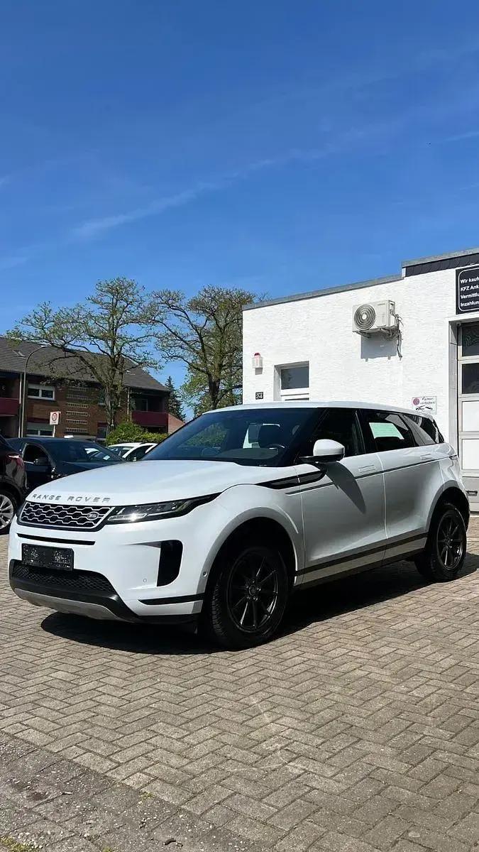 Gebraucht Land Rover Range Rover evoque 150 PS (110 kW) 2020 Yulong white SUV
