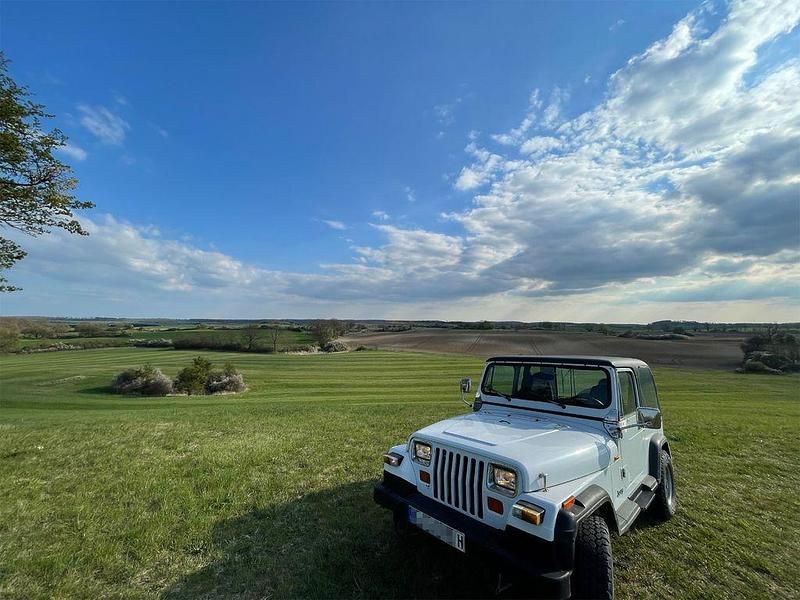 Gebraucht Jeep Wrangler 122 PS (89 kW) 1990 Weiß SUV
