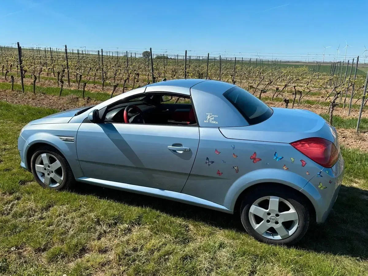 Gebraucht Opel Tigra 90 PS (66 kW) 2005 Blau Cabrio