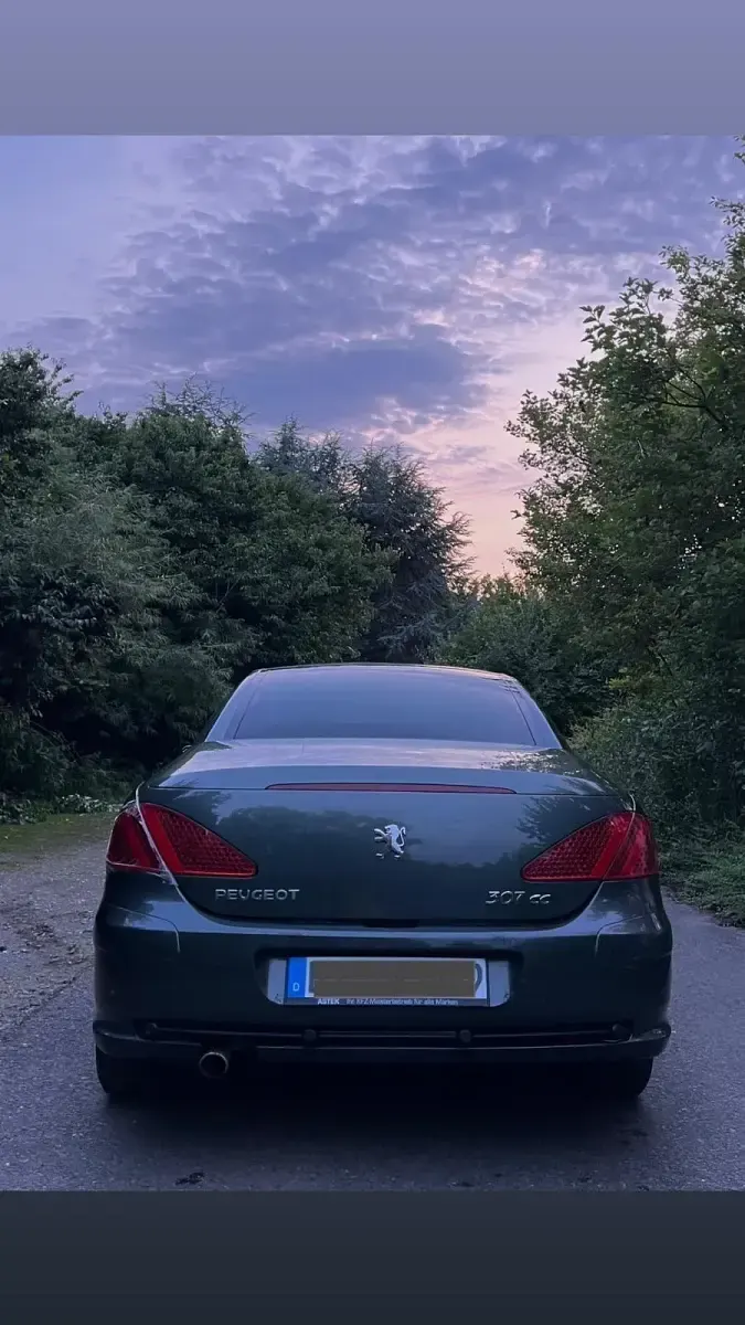 Gebraucht Peugeot 307 CC 136 PS (100 kW) 2004 Grau Cabrio